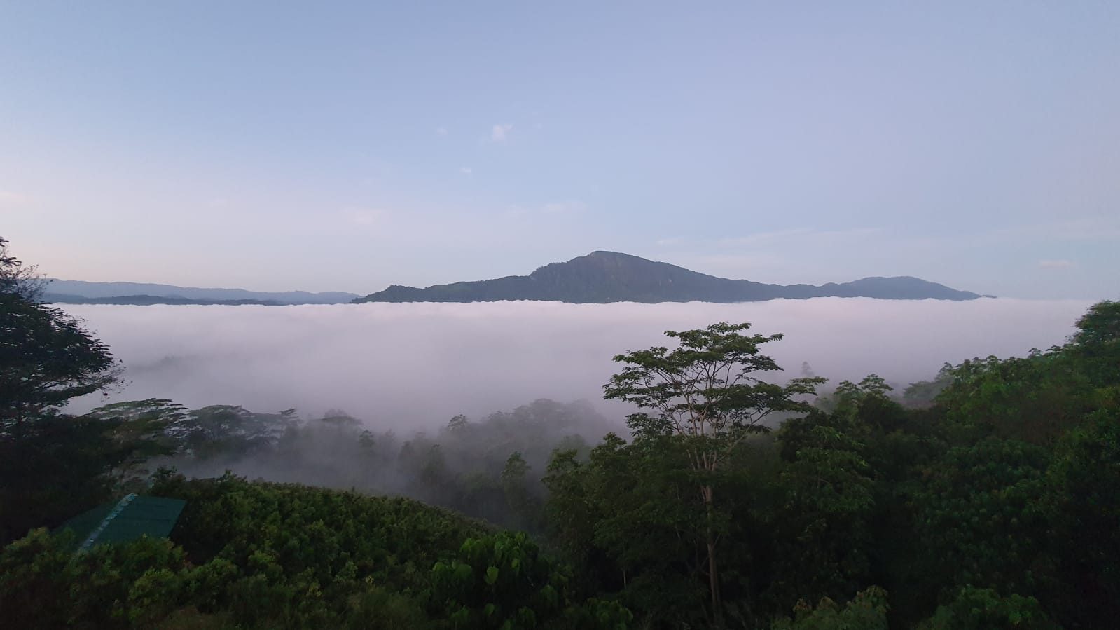 Cloud inversion at sunrise over the valley below Terrace Cinnamon View