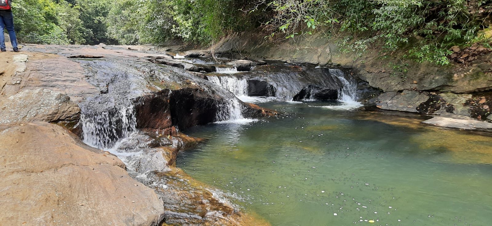 Small waterfall cascades along a forest stream