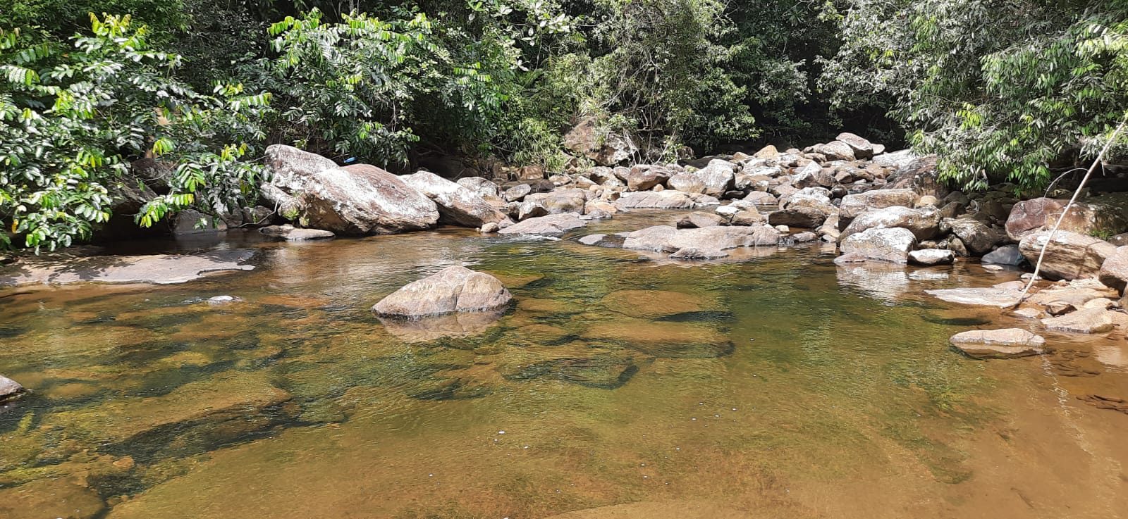 Calm river water over rocks on the excursion trail